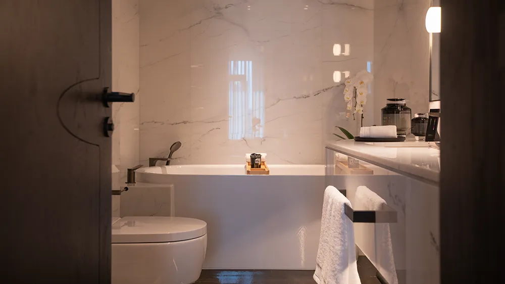 AquaClean Mera, the premium Geberit shower toilet model. (Photo)